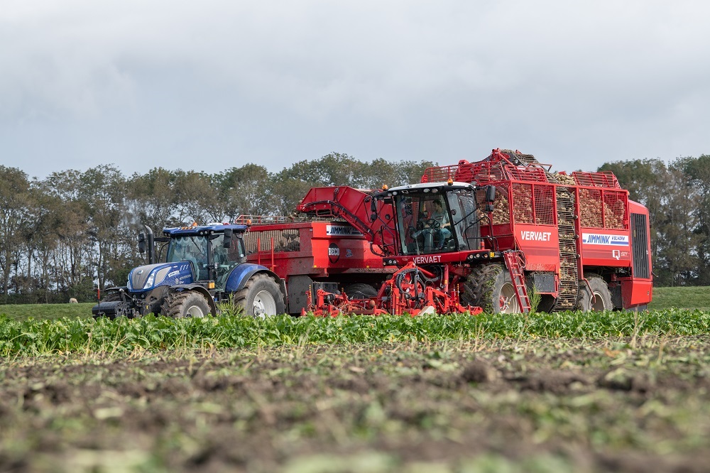 Drie weken uitstel voor verplichte inzaai vanggewas op zand en löss