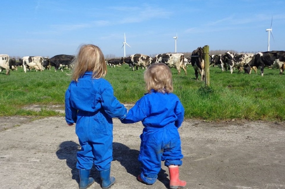 Bedrijfsopvolgingsregeling: wat zijn de gevolgen voor het boerenbedrijf?