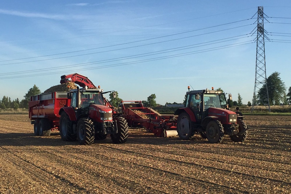 De uienoogst is gestart en wees ook alert op zonnebrand